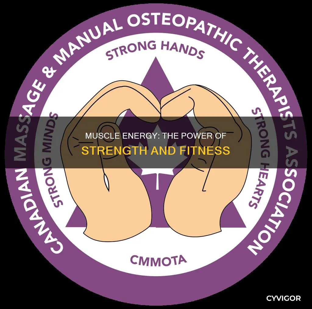 does muscle corespond to energy