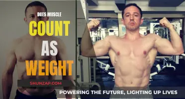 Muscle Mass: Understanding the Weight of Muscle Tissue