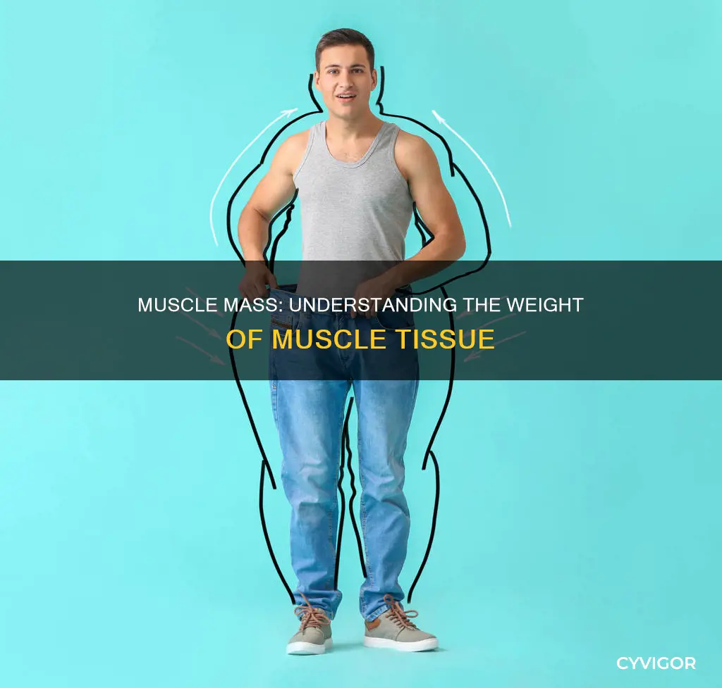 does muscle count as weight
