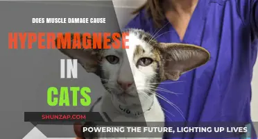 How Muscle Damage Impacts Cats' Magnesium Levels
