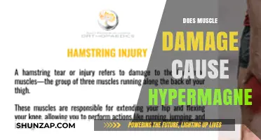 How Muscle Damage Triggers Hypermagnesemia