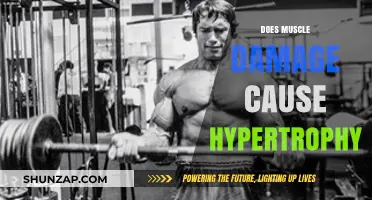 Muscle Damage and Hypertrophy: Are They Linked?