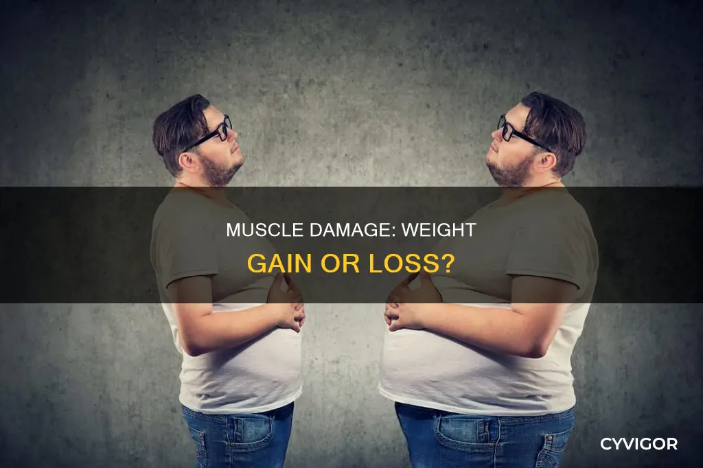 does muscle damage cause weight gain