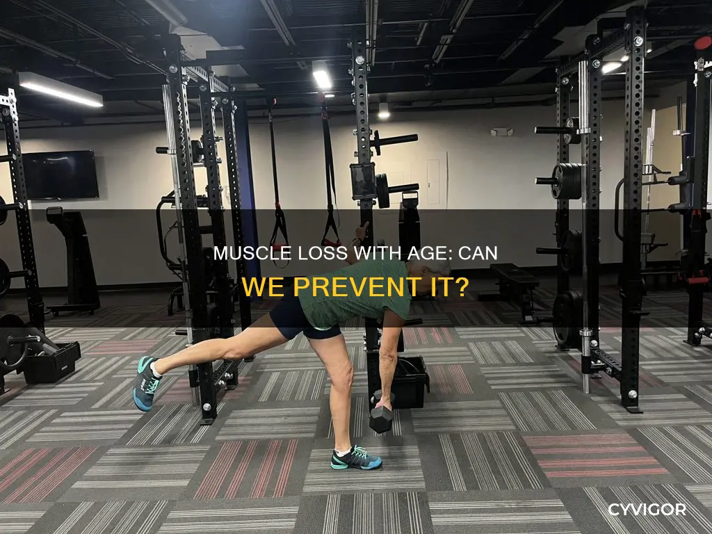 does muscle decrease with age