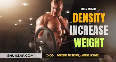Muscle Density and Weight: What's the Connection?