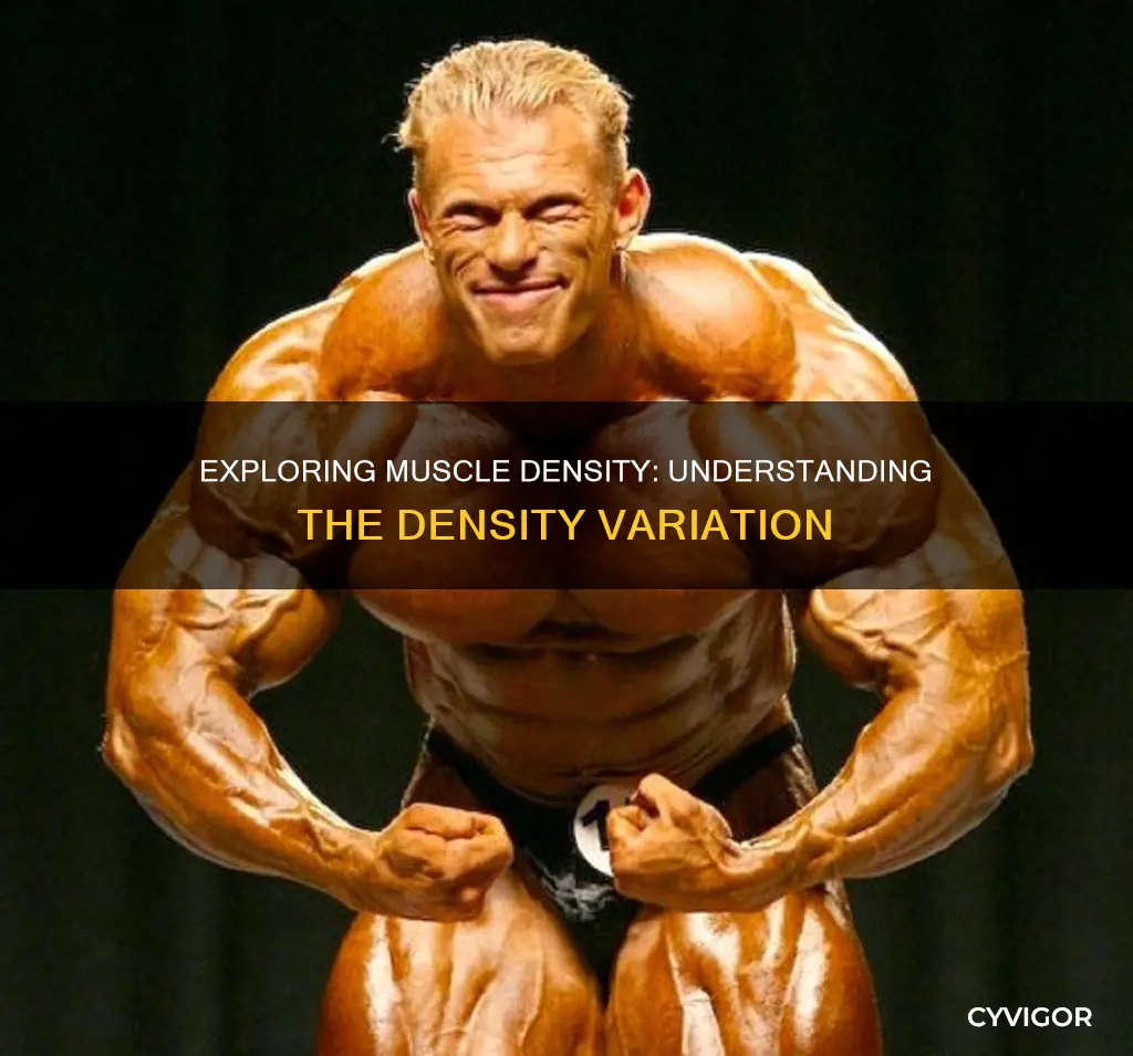 does muscle density vary