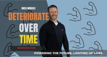 The Mystery of Muscle: Does Strength Fade Over Time?