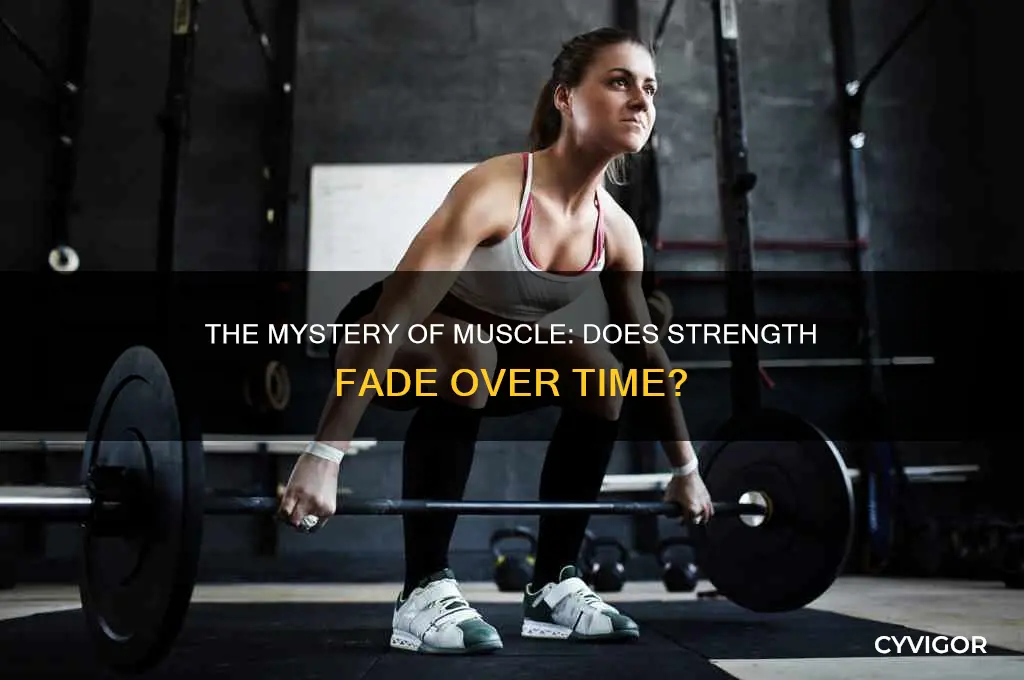 does muscle deteriorate over time
