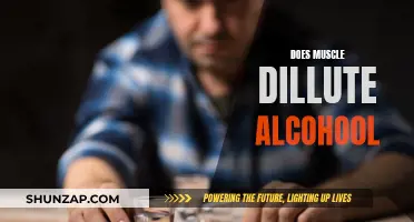 How Muscles Affect Alcohol Absorption and Dilution