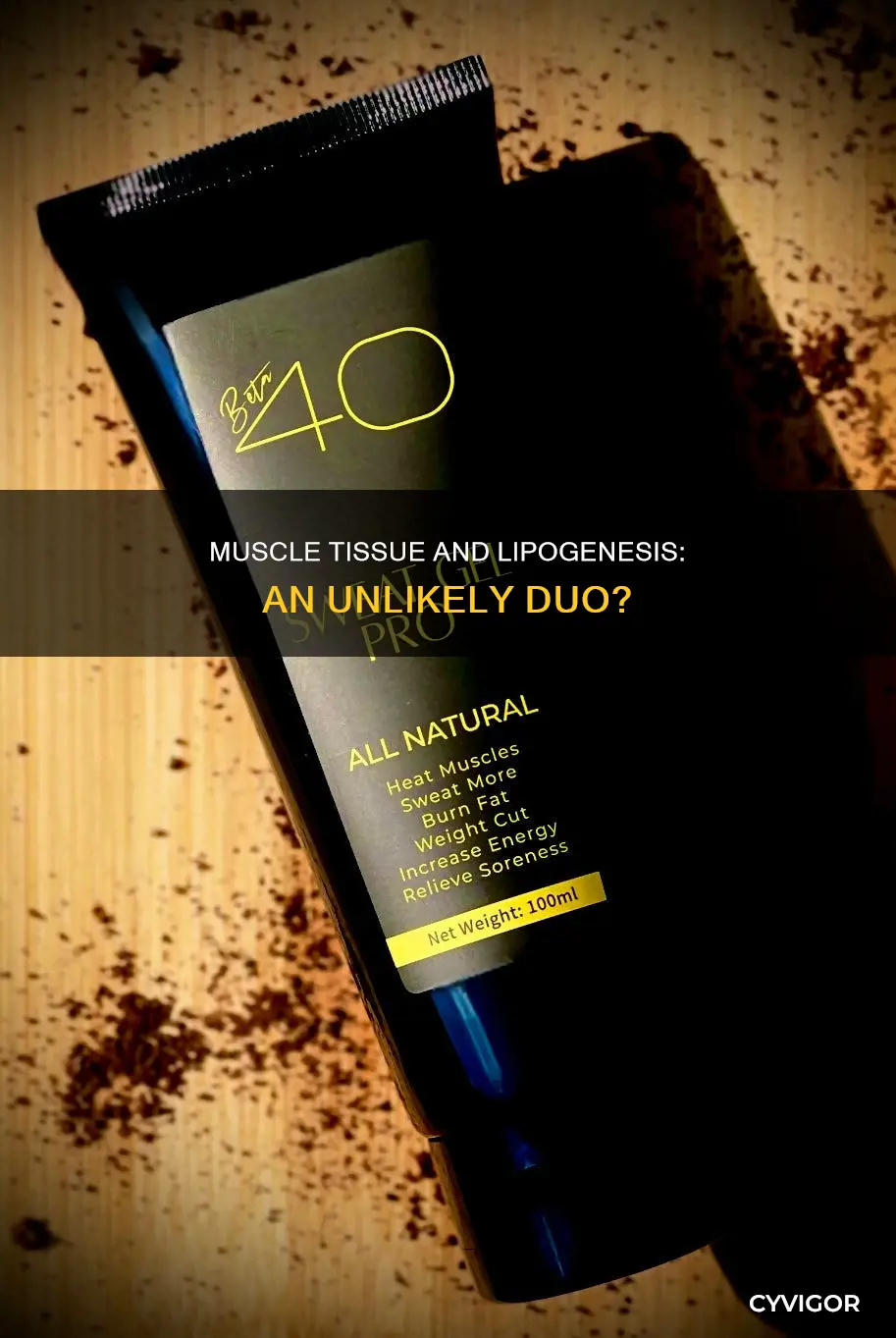 does muscle do lipogenesis
