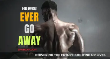 The Mystery of Muscle Loss: Can Muscles Ever Vanish?