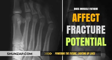 Exploring the Link: Muscle Fatigue and Fracture Risk
