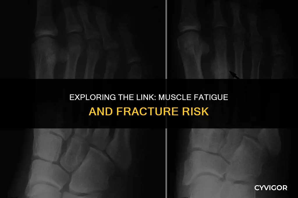 does muscle fatigue affect fracture potential