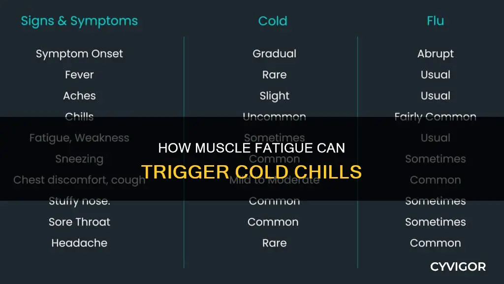 does muscle fatigue cause cold chills