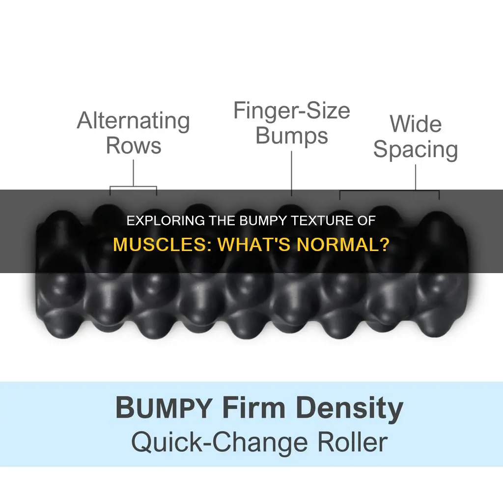 does muscle feel bumpy