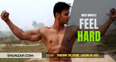 What Hard Muscles Mean and Why