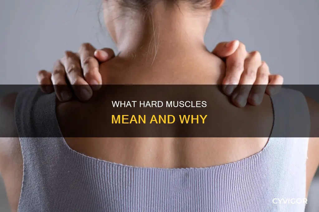 does muscle feel hard