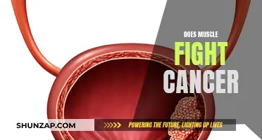 Muscle Power: Fighting Cancer with Strength