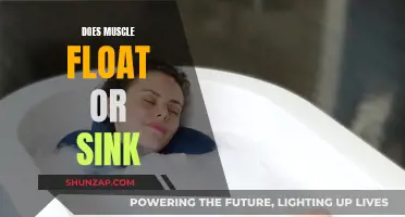 Muscle Tissue: Float or Sink?