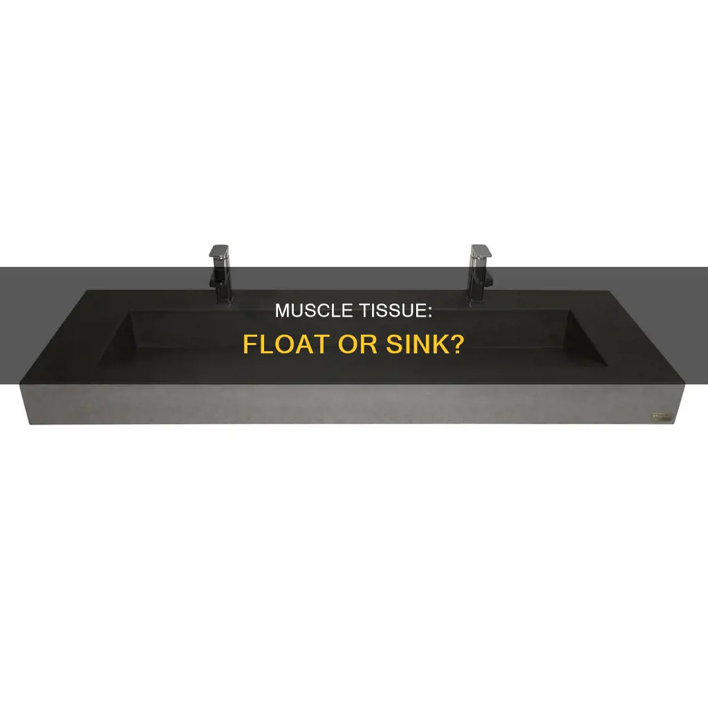 does muscle float or sink
