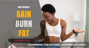 Muscle Gain vs. Fat Loss: How Building Muscle Burns Fat