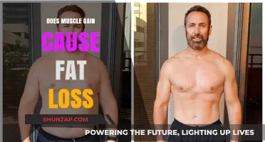 Muscle Gain and Fat Loss: What's the Link?