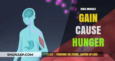 Muscle Gain and Hunger: What's the Link?