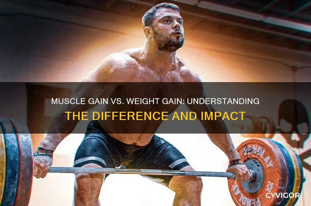 does muscle gain count as weight gain