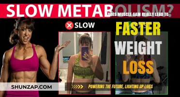 Muscle Gain and Weight Loss: Unraveling the Metabolic Connection