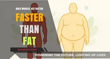 Metabolic Myths: Unraveling the Truth About Muscle and Fat Temperature