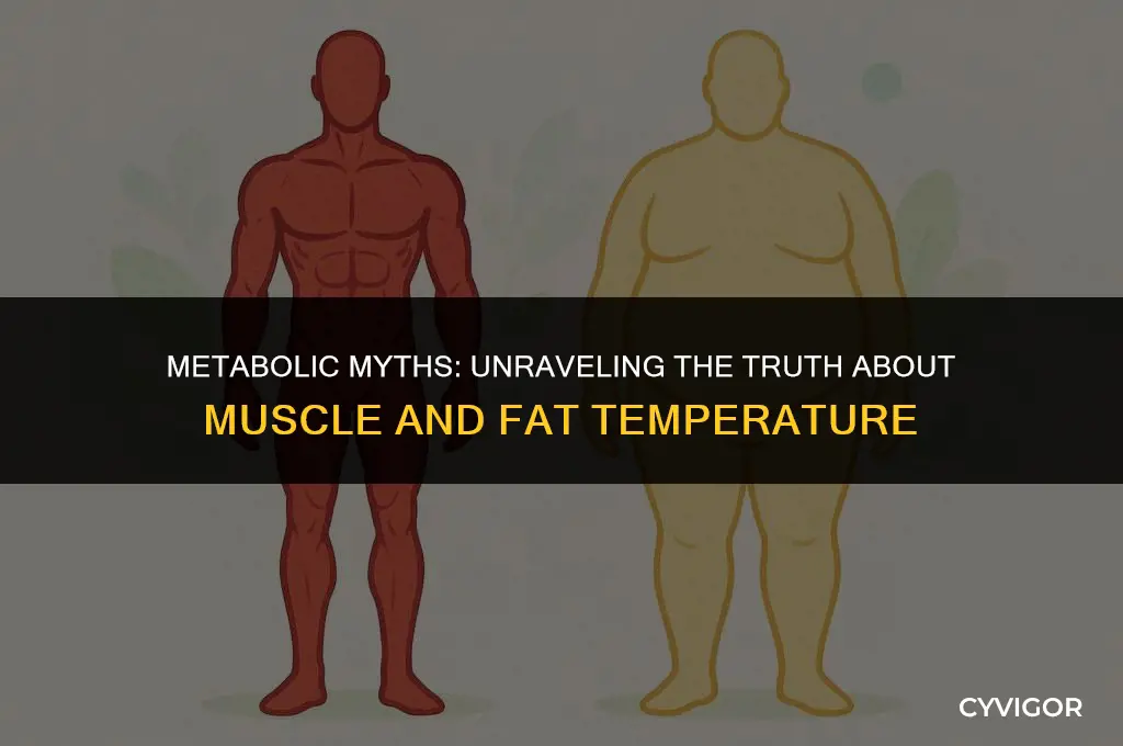 does muscle get hotter faster than fat
