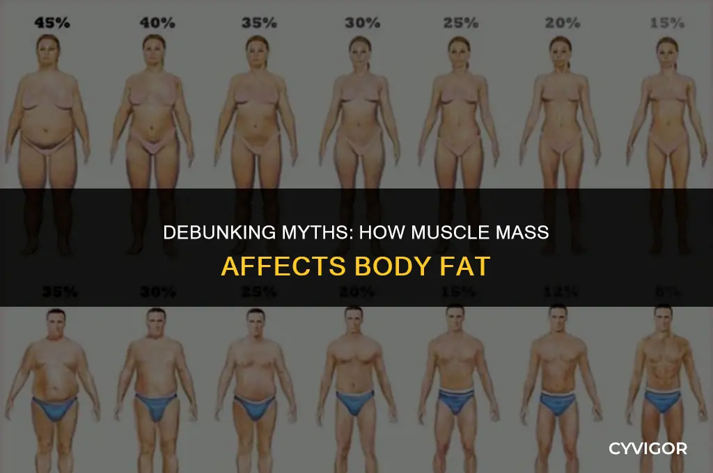 does muscle get rid of fat