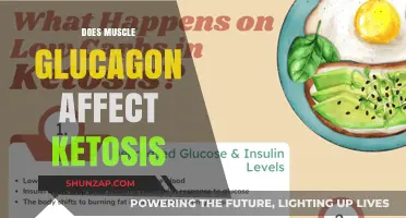 Exploring the Impact of Muscle Glucagon on Ketosis: A Comprehensive Guide