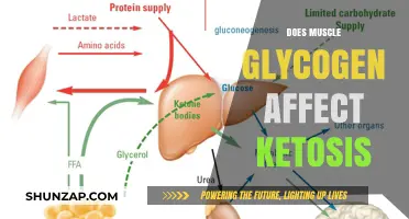 Exploring the Impact of Muscle Glycogen on Ketosis: A Comprehensive Guide