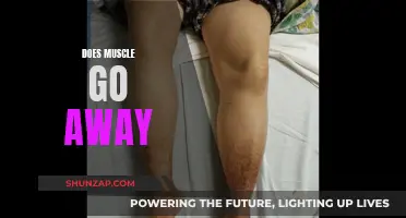 How Muscle Mass Disappears and How to Prevent It