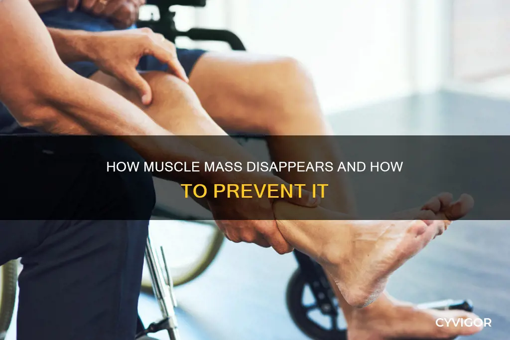 does muscle go away
