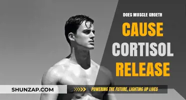 Muscle Growth and Cortisol: A Complex Relationship