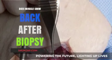 Regaining Strength: Understanding Muscle Recovery Post-Biopsy
