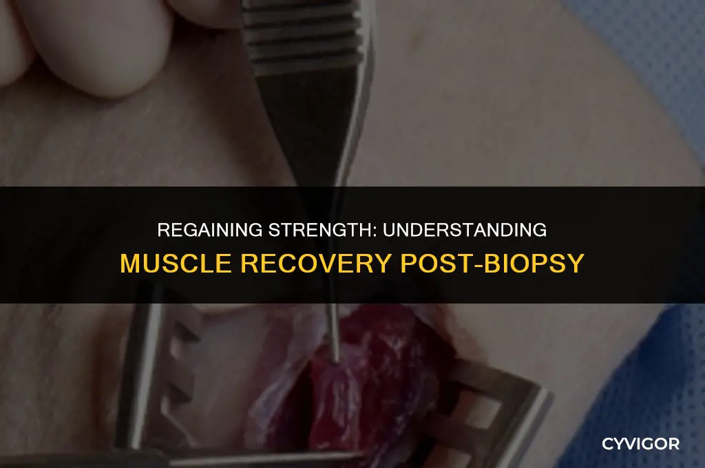 does muscle grow back after biopsy