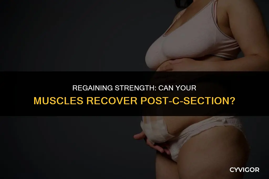does muscle grow back after c section