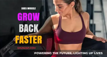 Rebuilding Strength: The Science Behind Muscle Recovery and Growth