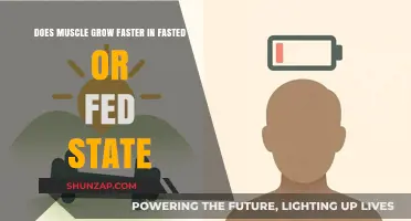 Fasted vs Fed: Which State Optimizes Muscle Growth Faster?