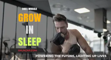 Muscle Growth Secrets: How Sleep Fuels Your Fitness Gains