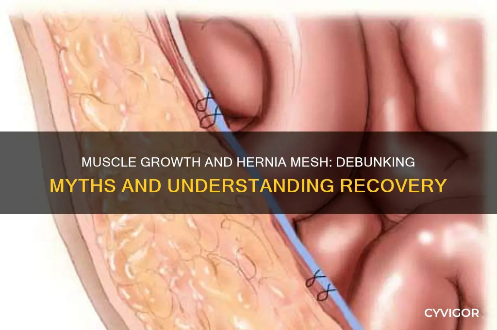 does muscle grow into hernia mesh