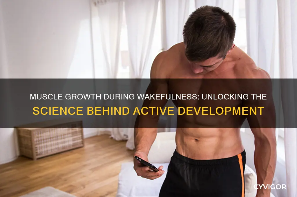 does muscle grow when awake