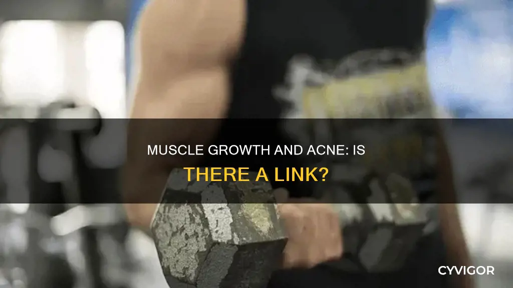 does muscle growth cause acne