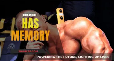 Muscle Memory: Fact or Fiction?