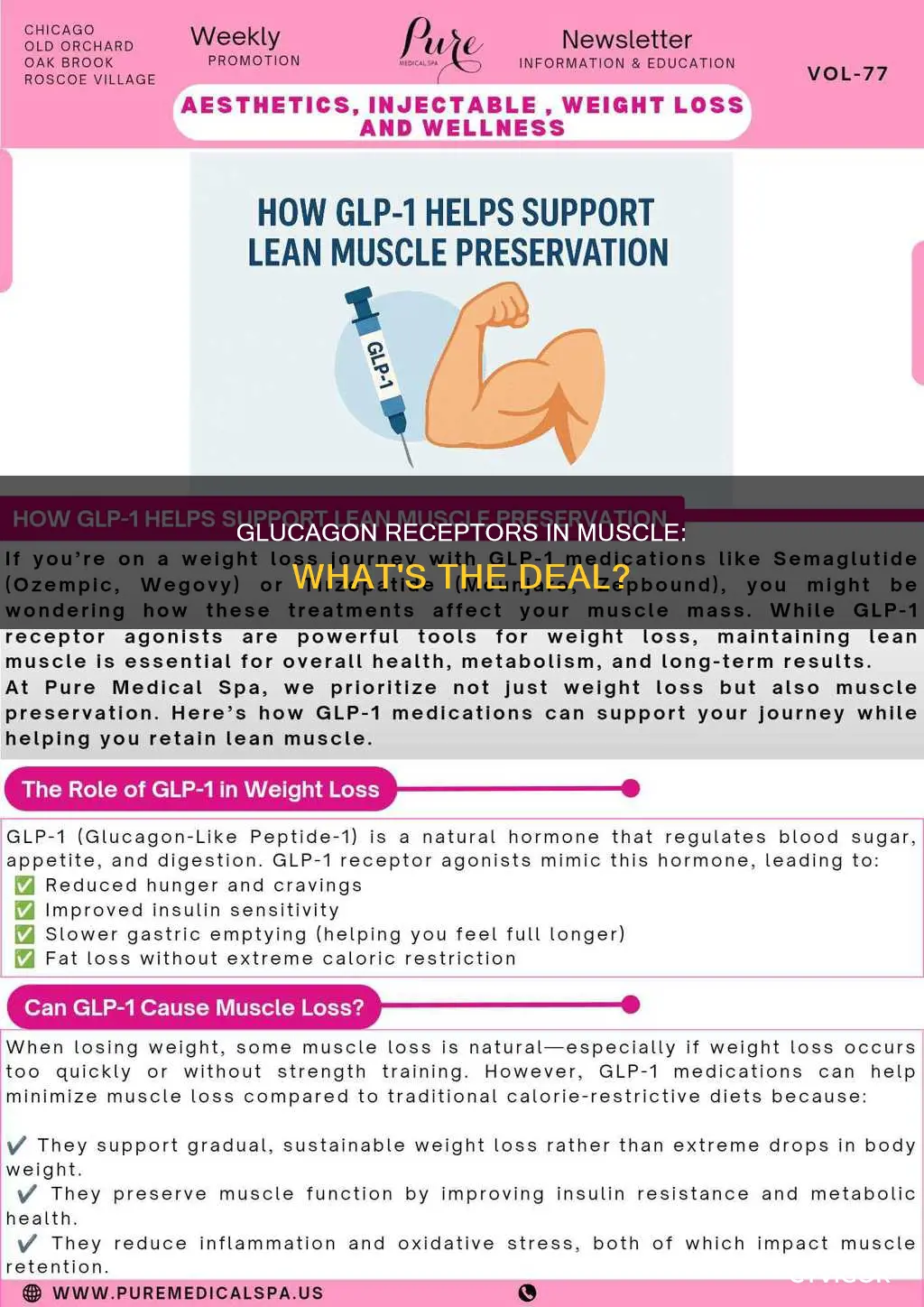 does muscle have glucagon receptors