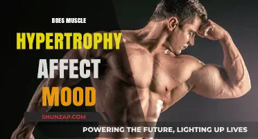 Exploring the Link Between Muscle Growth and Mood Enhancement