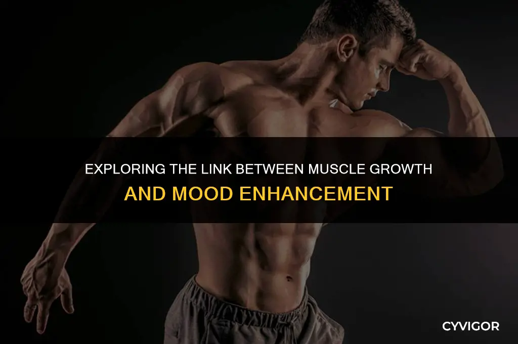 does muscle hypertrophy affect mood